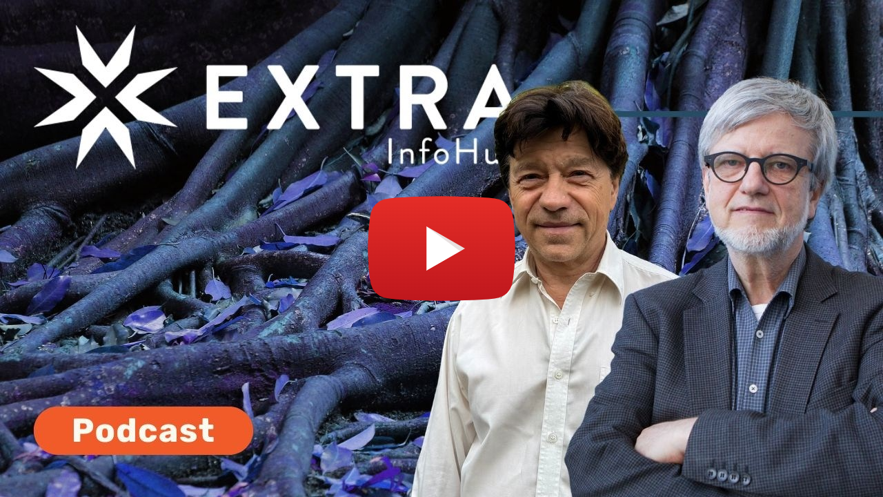 When Everything Connects: Mapping the Systemic Roots and Symptoms of the Polycrisis